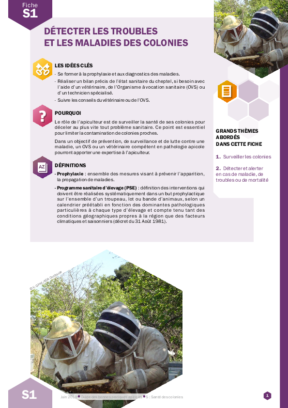 Détecter les troubles et les maladies des colonies