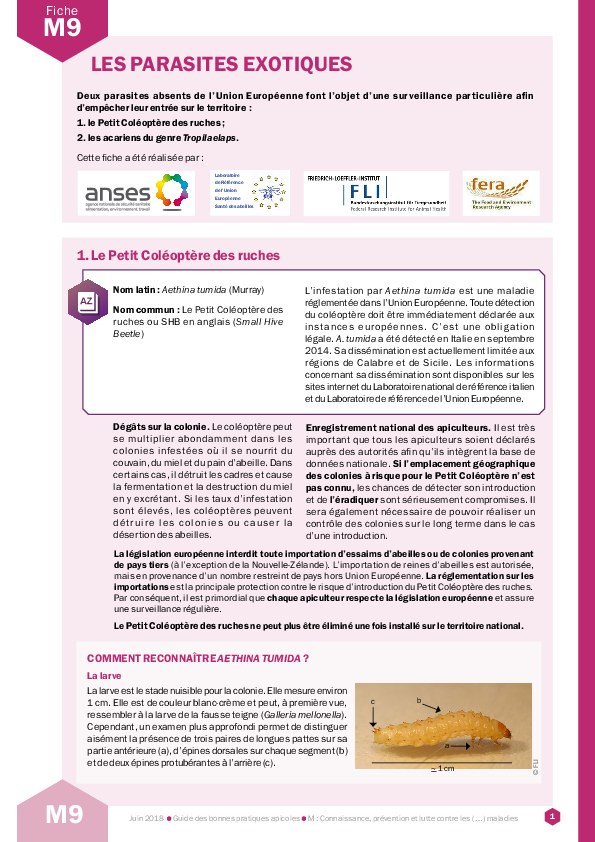 Les parasites exotiques