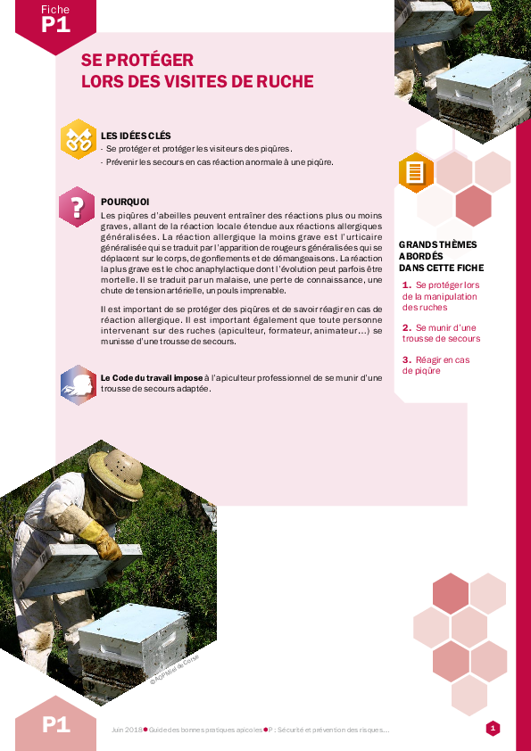 Se protéger lors des visites de ruche