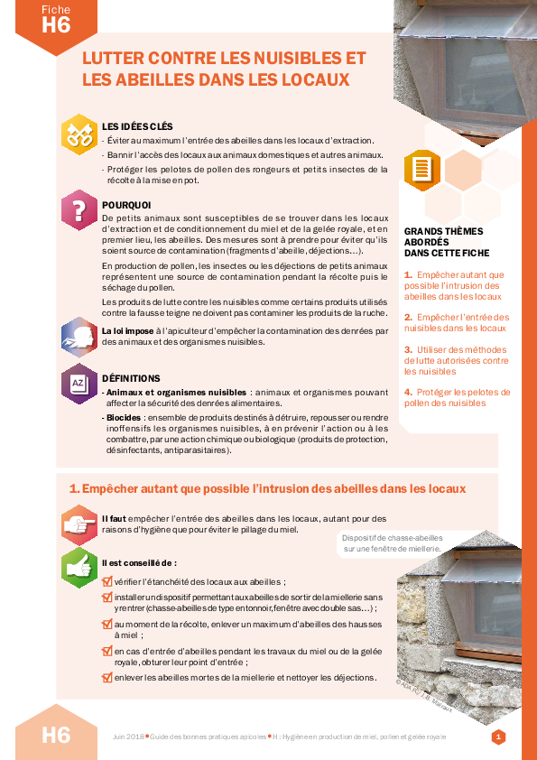 Lutter contre les nuisibles et les abeilles dans les locaux